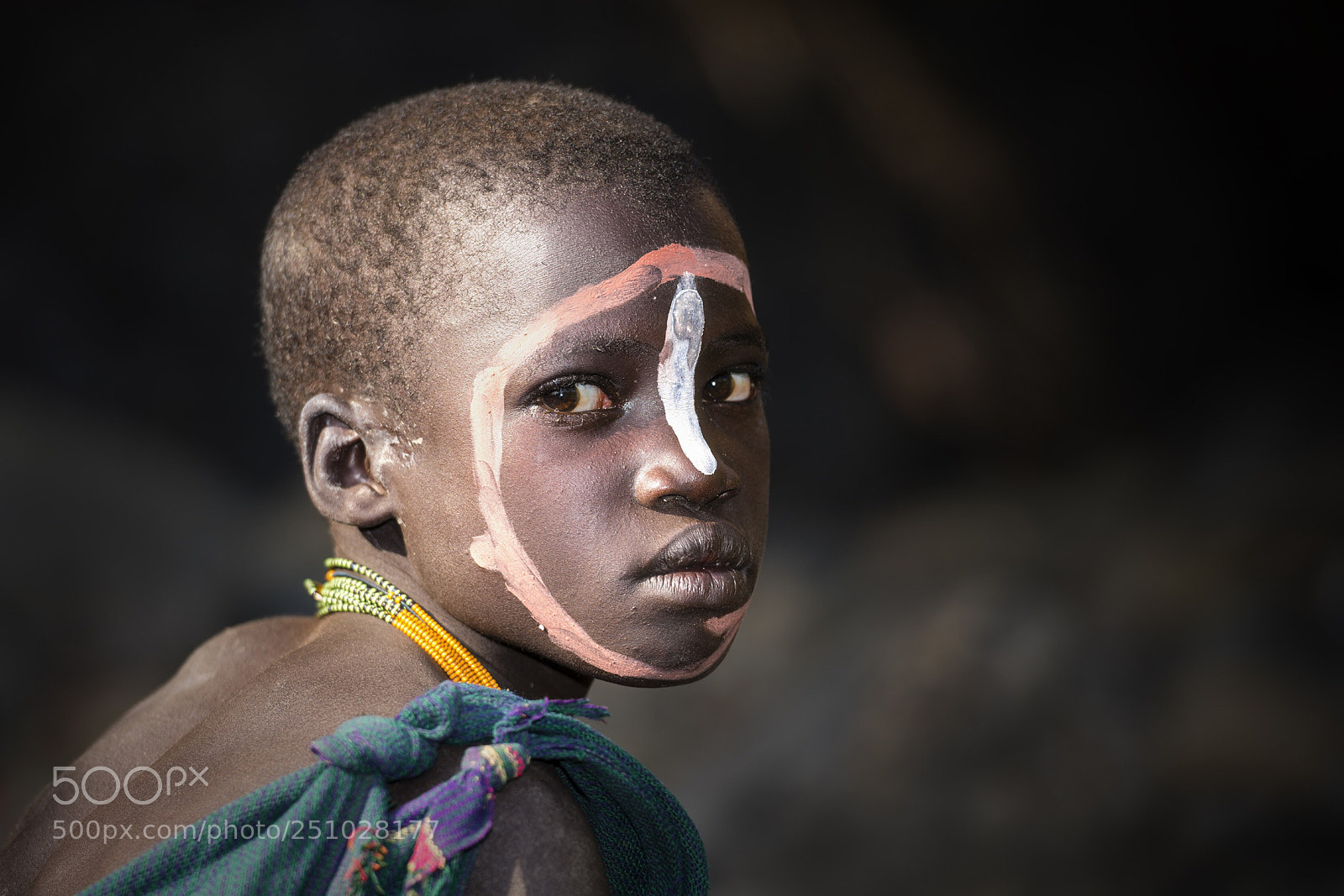 Nikon D810 sample photo. Right in the camera photography