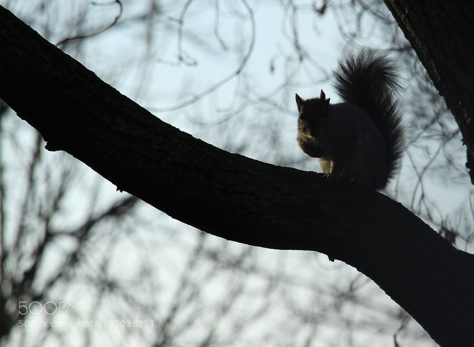 Canon EOS 1200D (EOS Rebel T5 / EOS Kiss X70 / EOS Hi) sample photo. Dark side photography