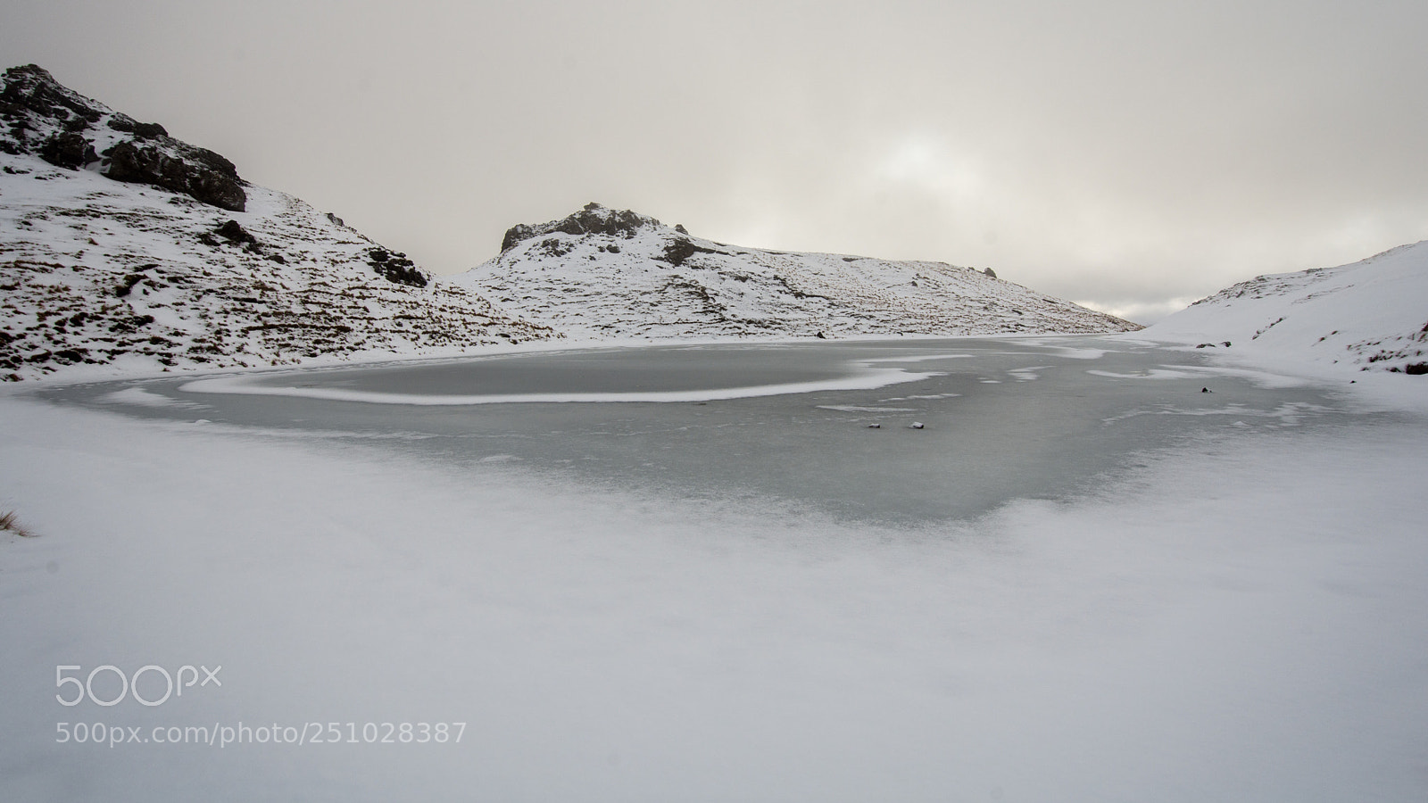 Nikon D7200 sample photo. Frozen! photography
