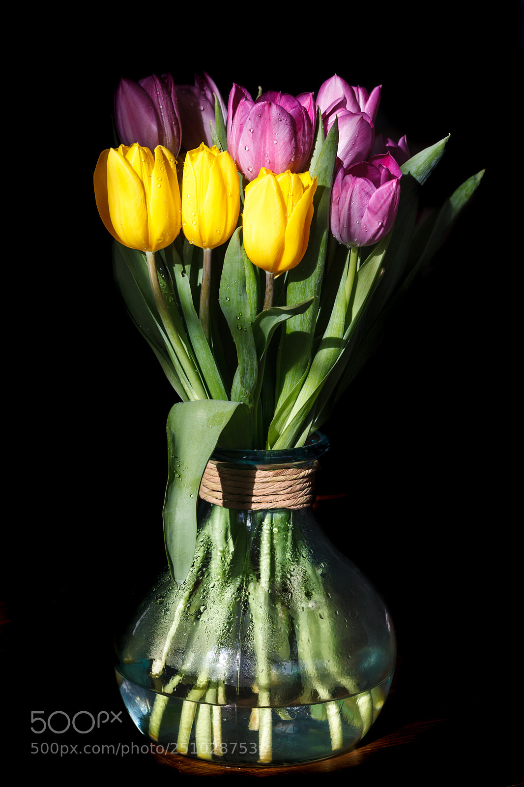 Canon EOS 5D Mark II sample photo. Spring is coming photography
