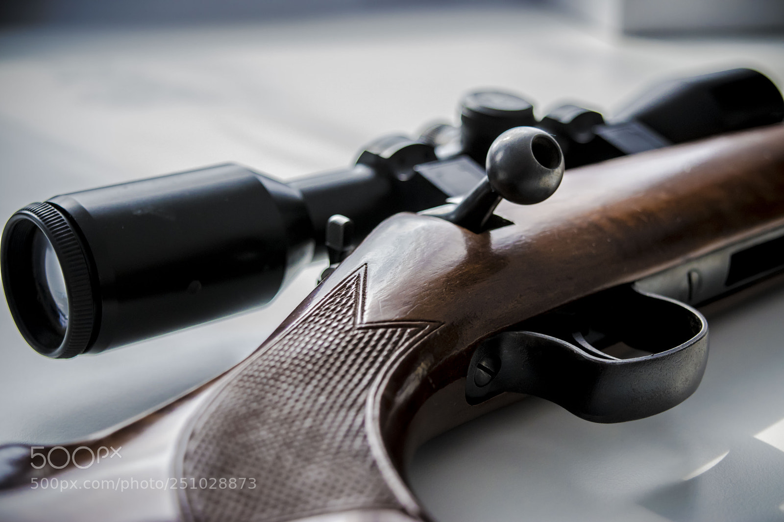 Nikon D5500 sample photo. Protection photography