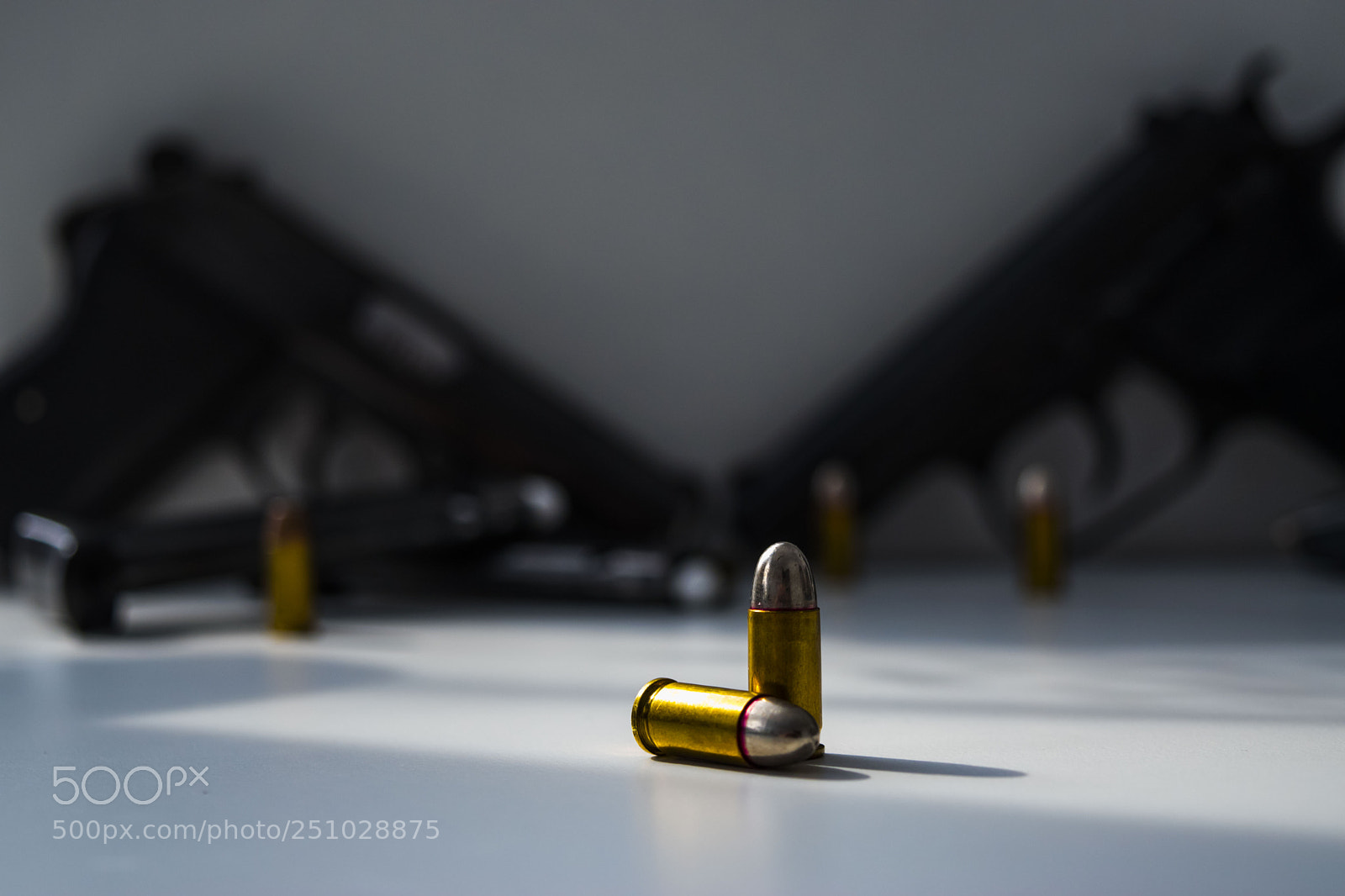 Nikon D5500 sample photo. Protection photography