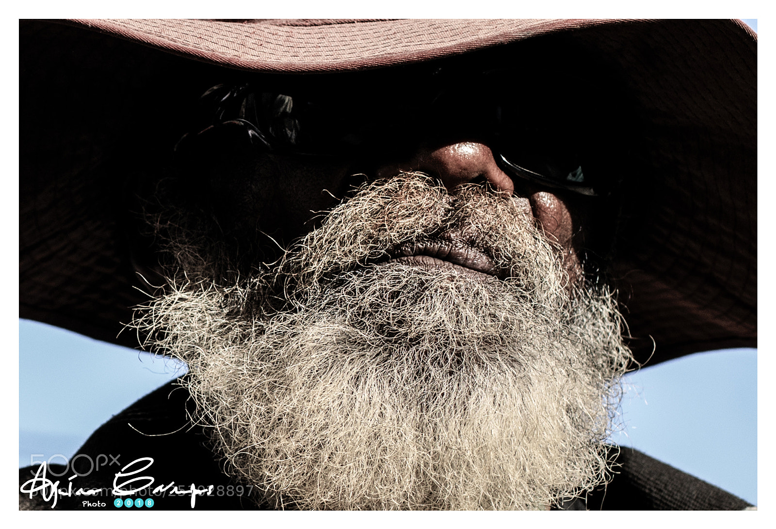 Canon EOS 5D Mark IV sample photo. Untitled photography