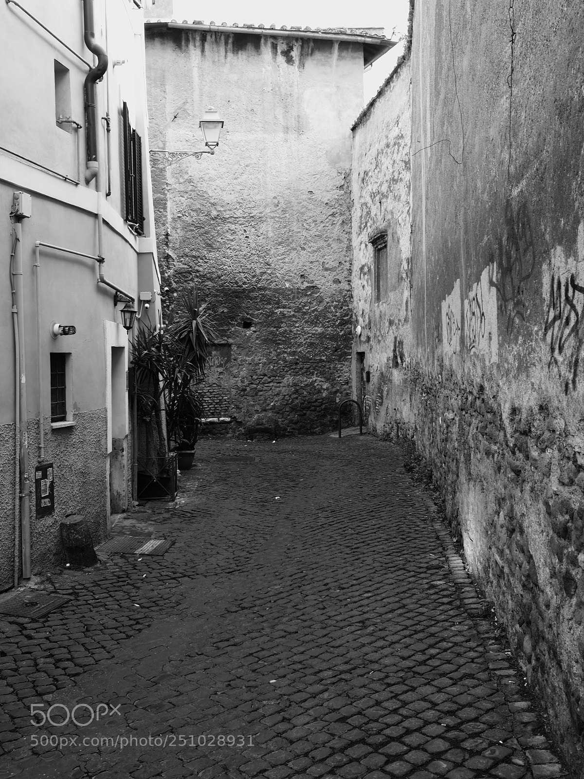 Olympus OM-D E-M5 II sample photo. Roma 17pb046528 20k em5ii photography
