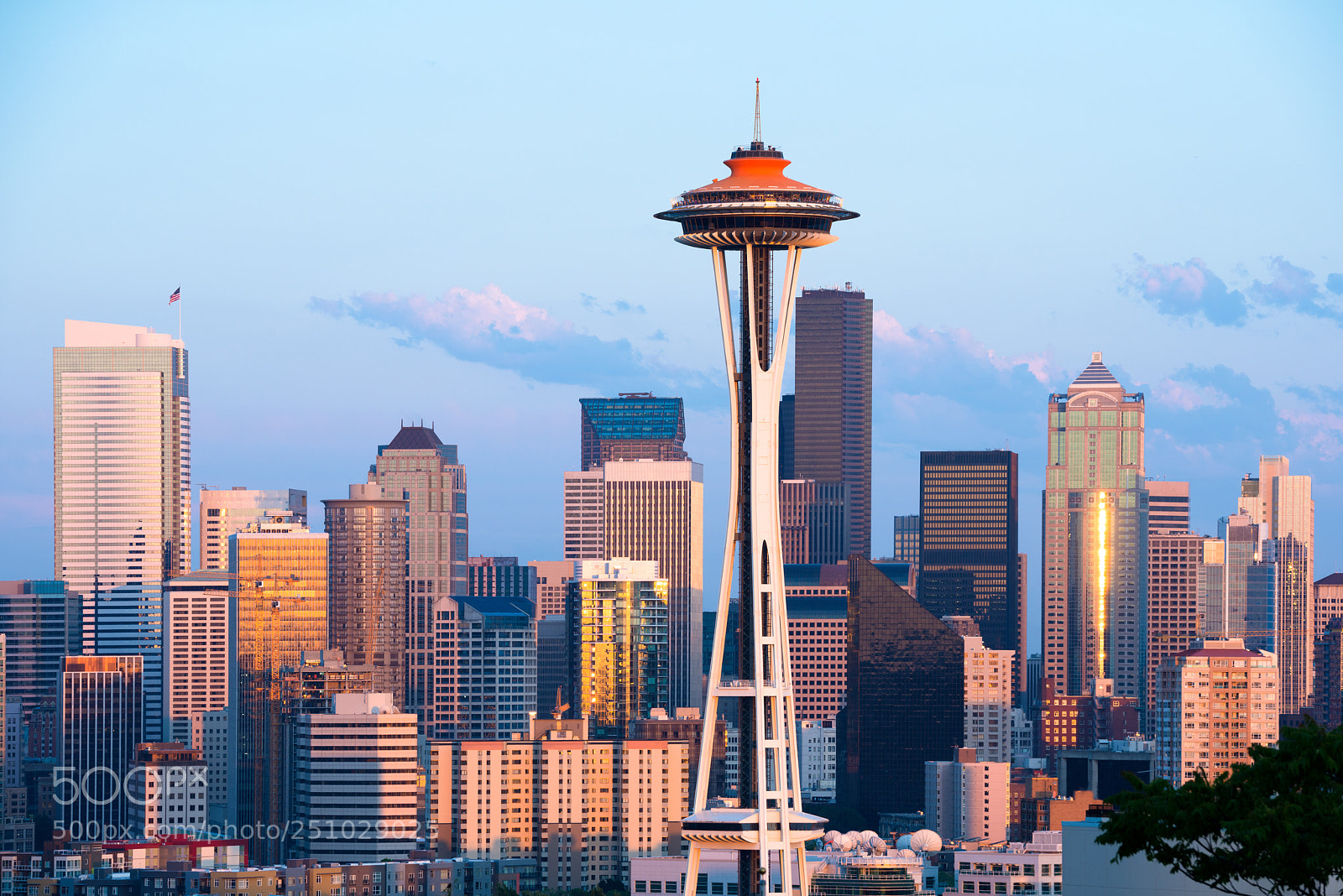 Nikon D800 sample photo. Skyline of downtown seattle photography