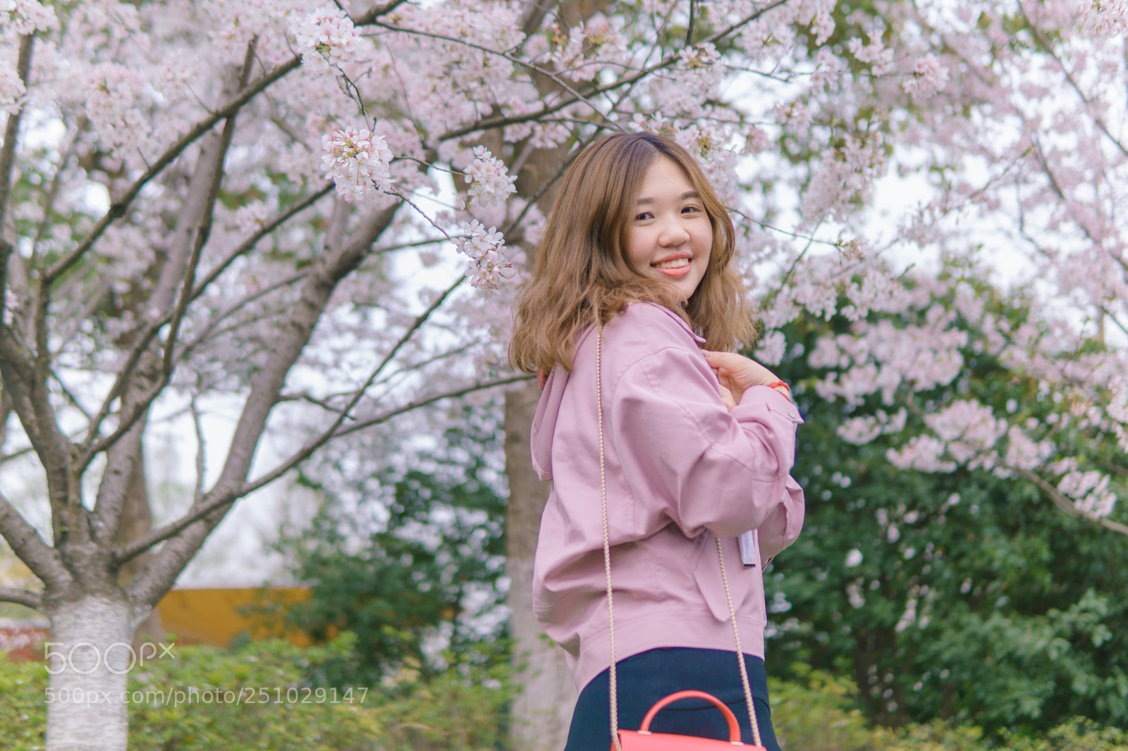 Sony a6000 sample photo. 樱花?季节 photography