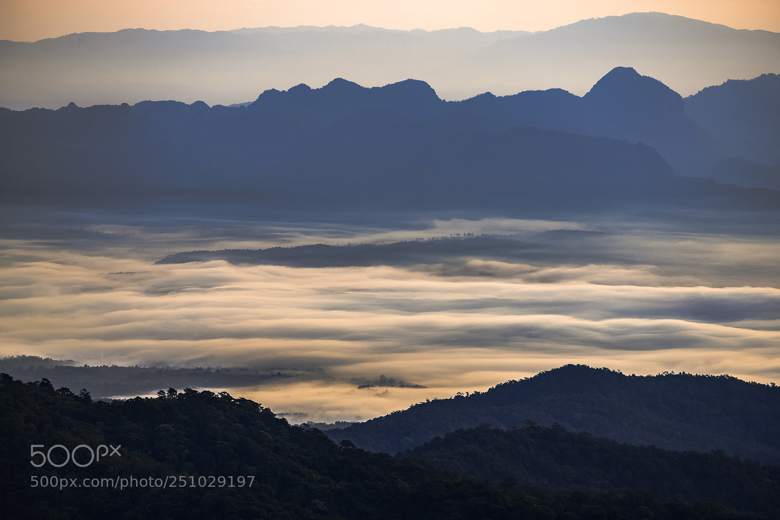 Nikon D850 sample photo. Heaven scene photography