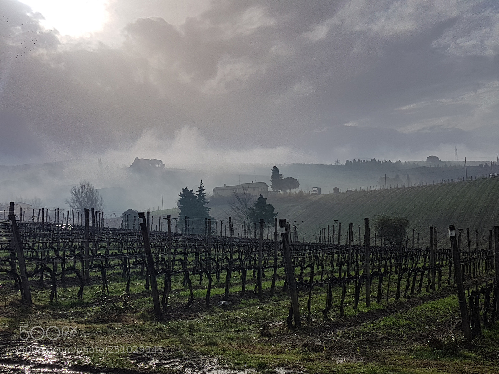 Samsung Galaxy S7 sample photo. La toscana photography