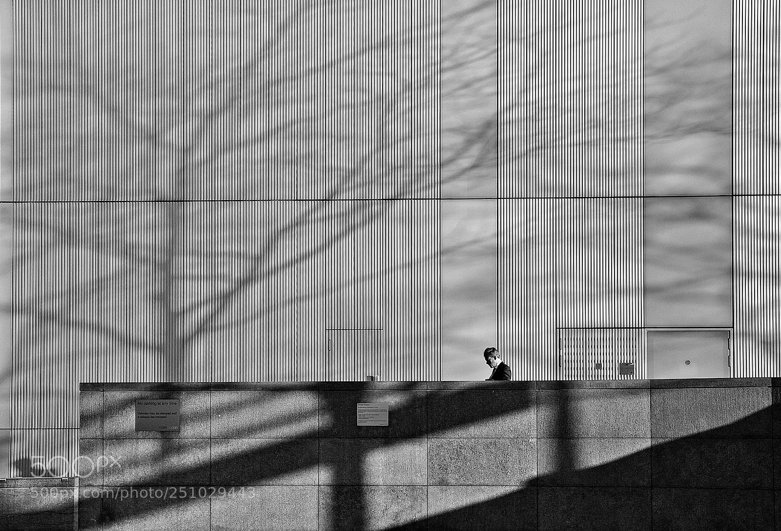 Nikon D90 sample photo. Tree shadow. photography