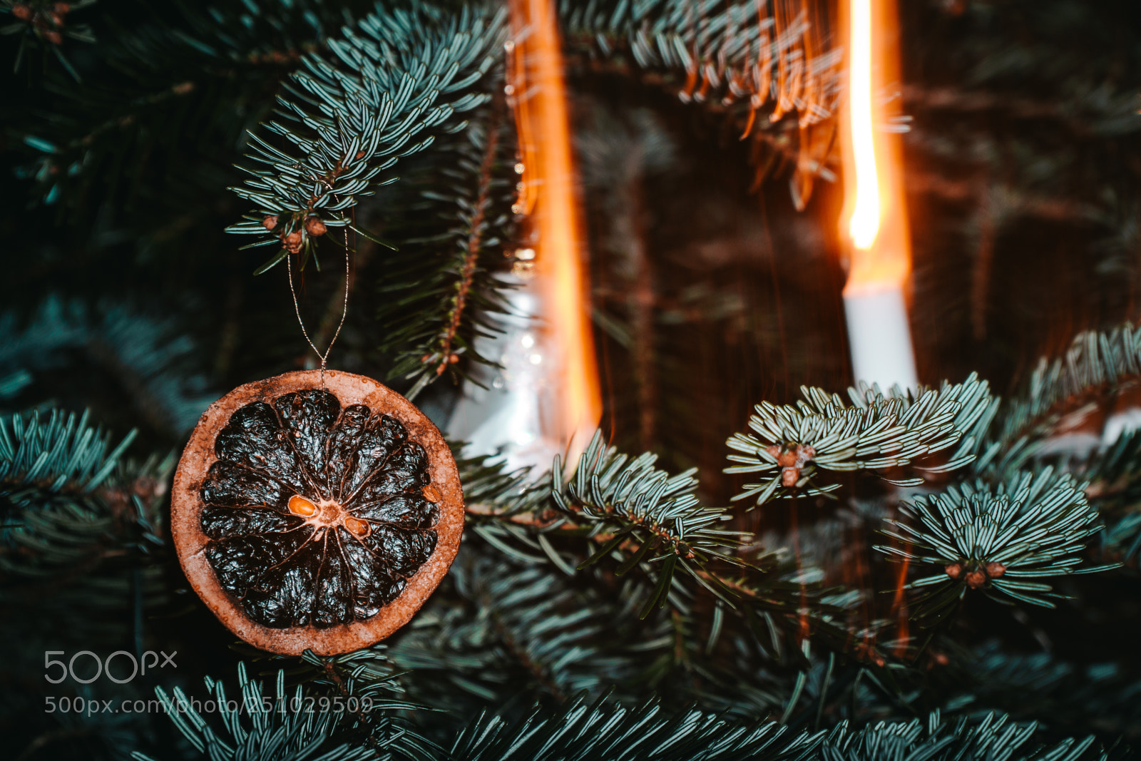 Sony a6300 sample photo. Christmas flair photography