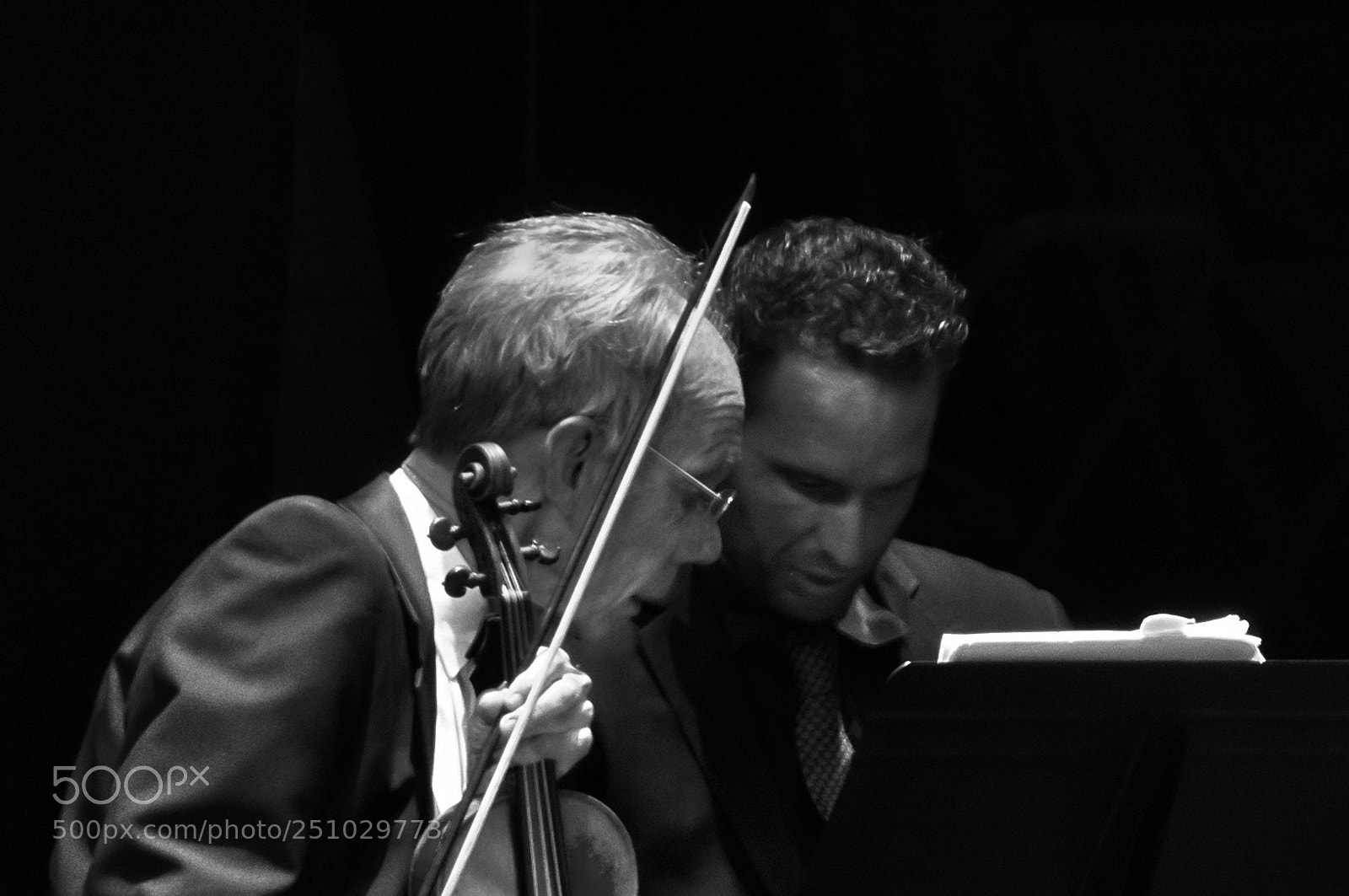 Nikon D800E sample photo. Symphony photography