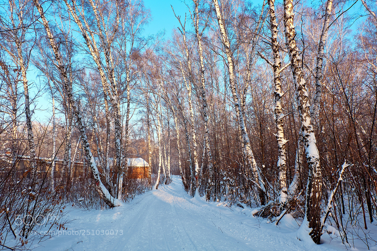 Fujifilm X-M1 sample photo. House in a forest photography