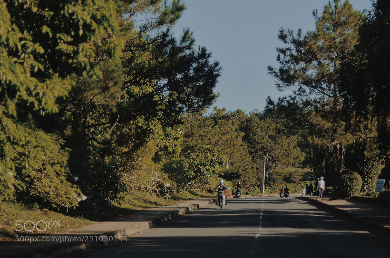 Nikon D5100 sample photo. Dalat, vietnam photography