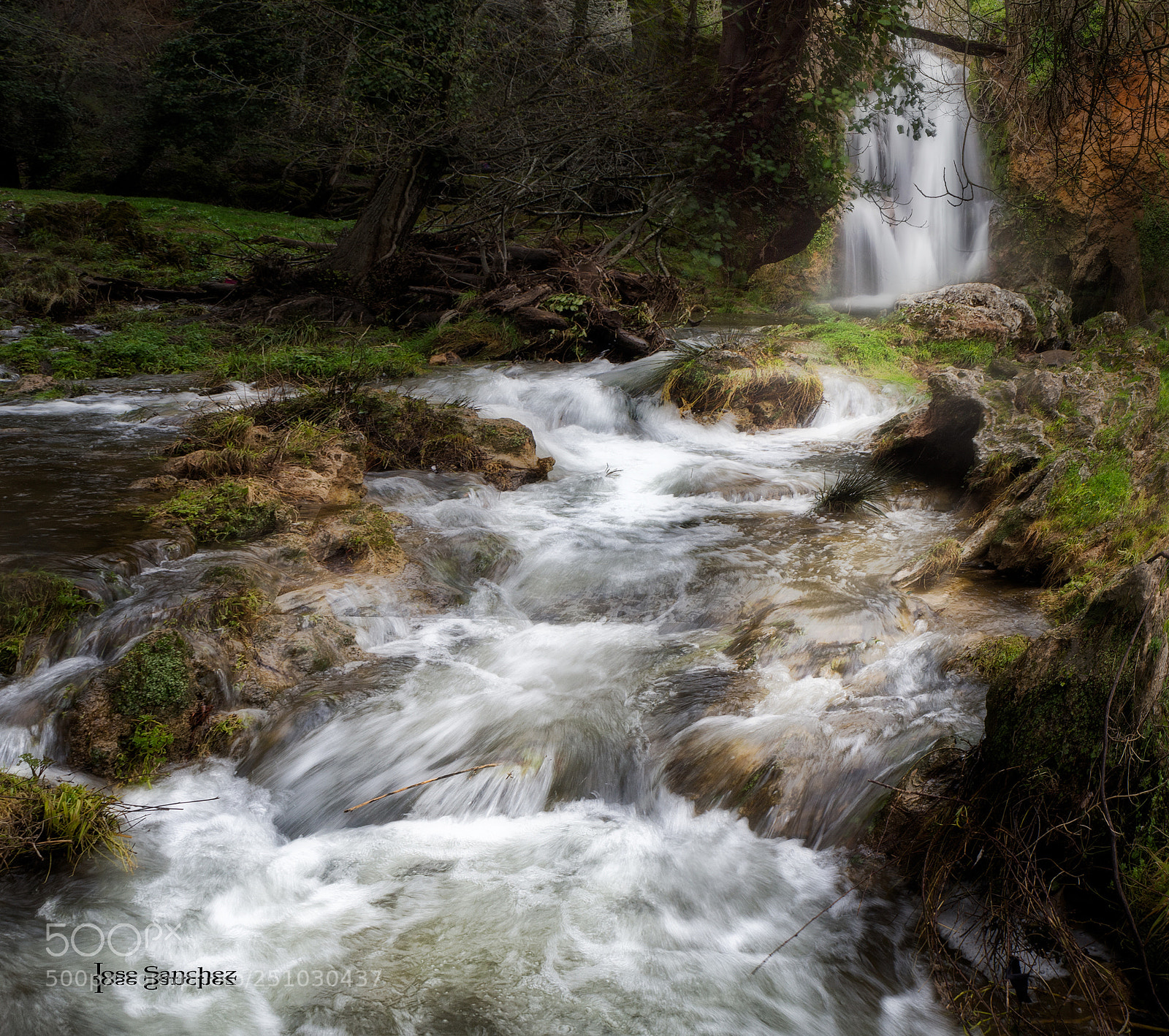 Olympus OM-D E-M10 II sample photo. Dream scape photography