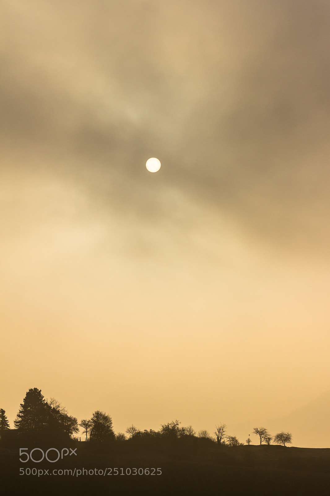 Canon EOS 7D sample photo. Foggy morning photography