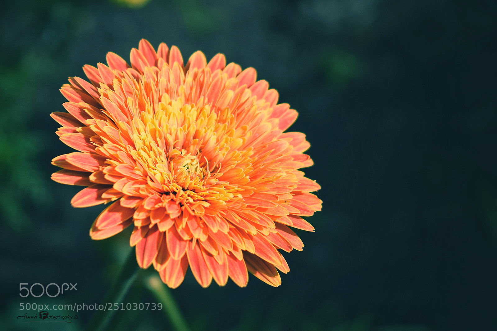 Nikon D3300 sample photo. Natural beauty photography