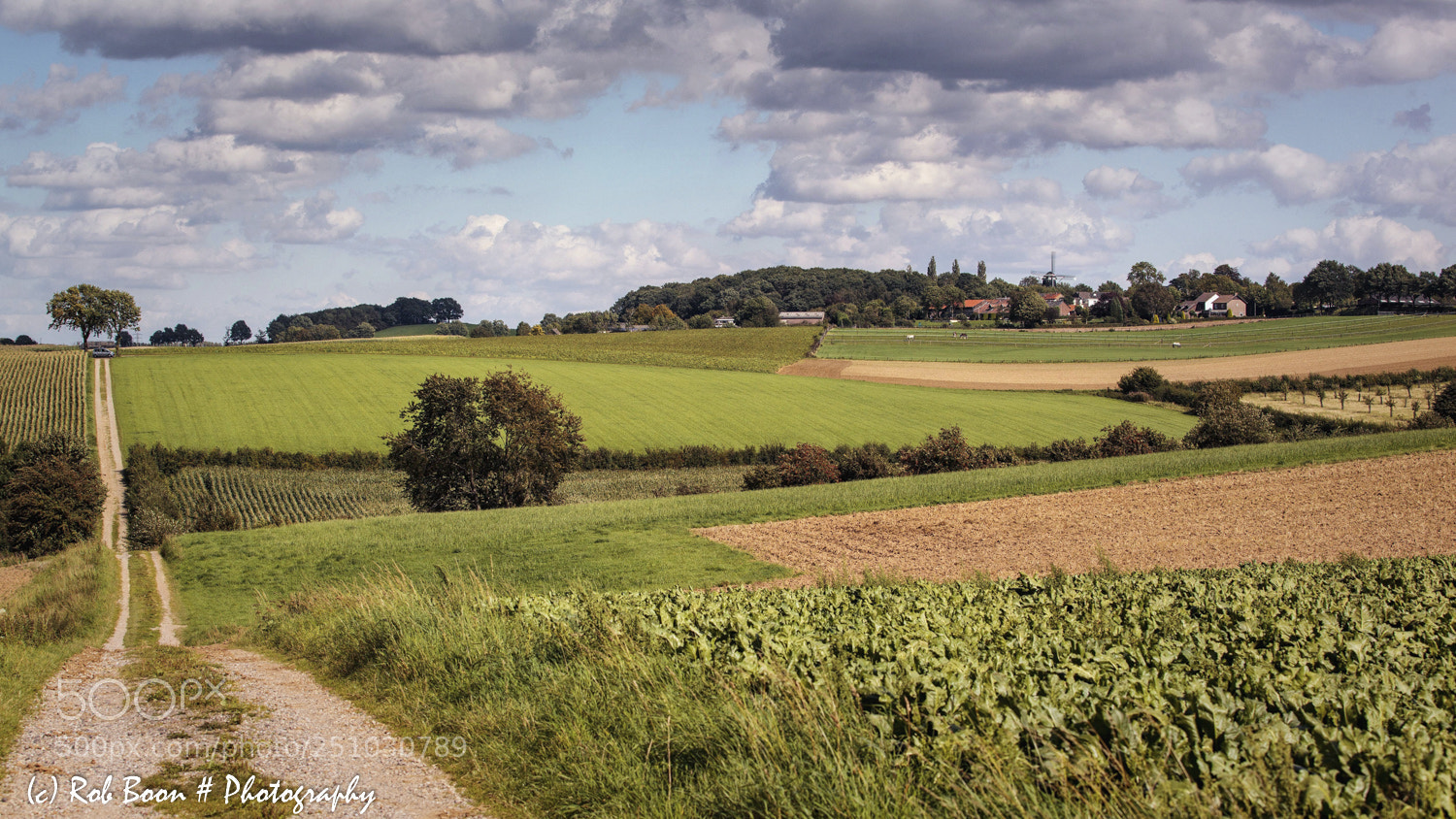 Canon EOS 5D Mark II sample photo. Trintelen photography
