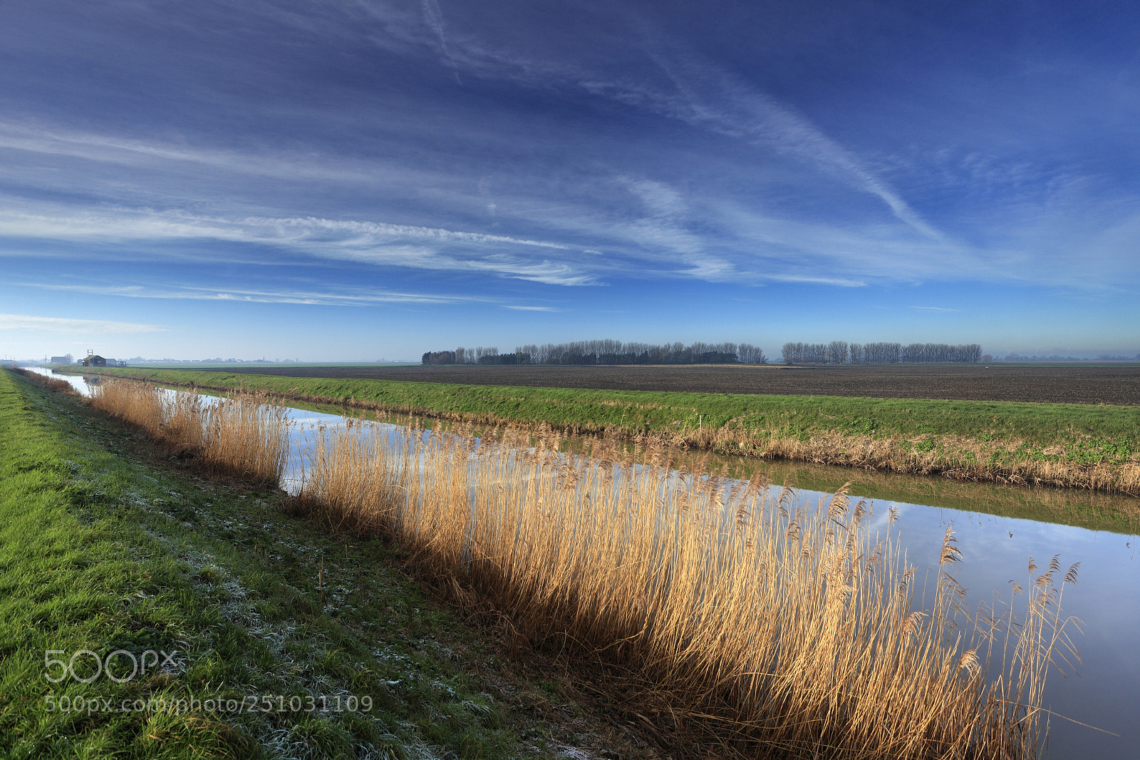 Canon EOS 5D Mark II sample photo. Bevills leam river, pondersbridsge photography