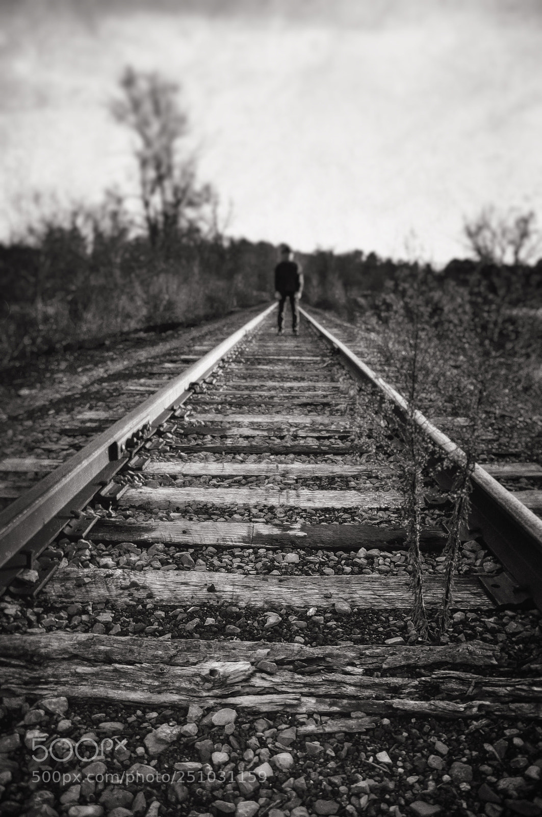 Nikon D90 sample photo. Station man photography