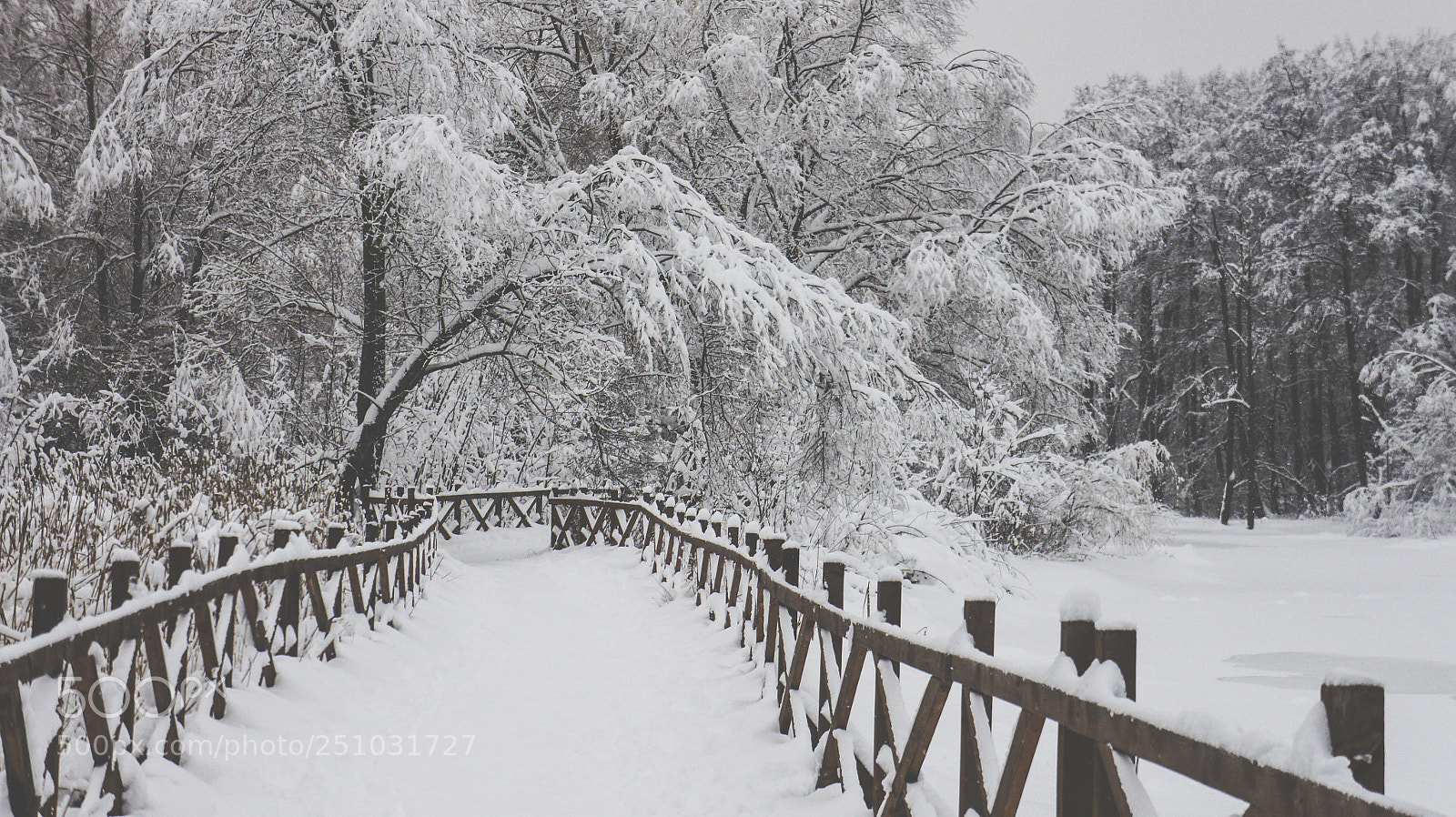 Sony Alpha NEX-5 sample photo. The white road photography