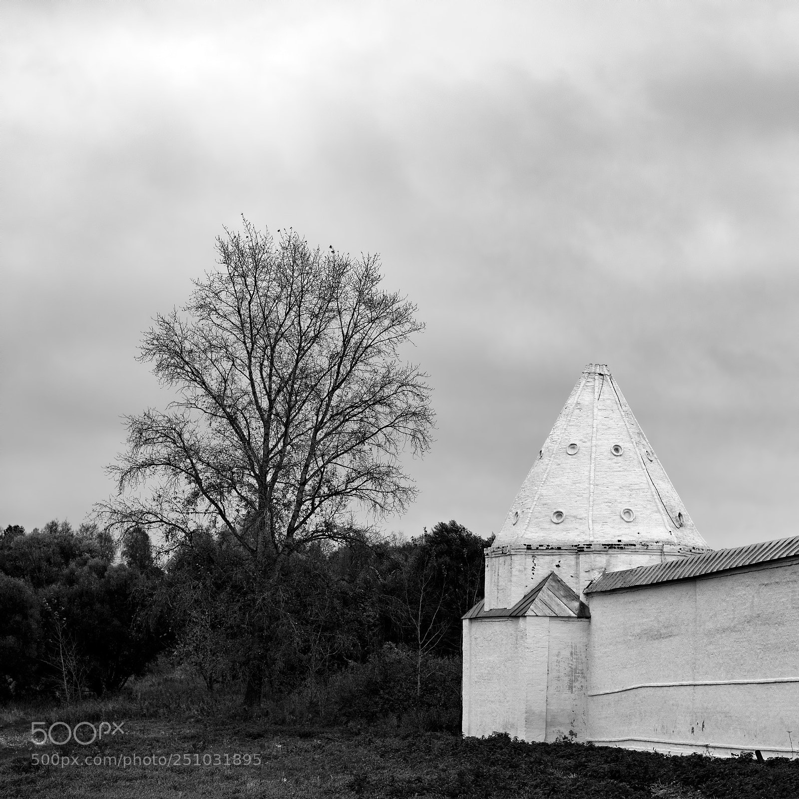 Sony a7R II sample photo. Suzdal (tower). photography