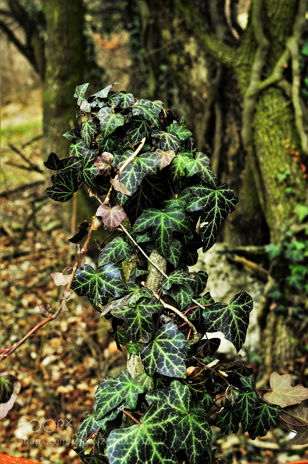 Nikon D3200 sample photo. Untitled photography
