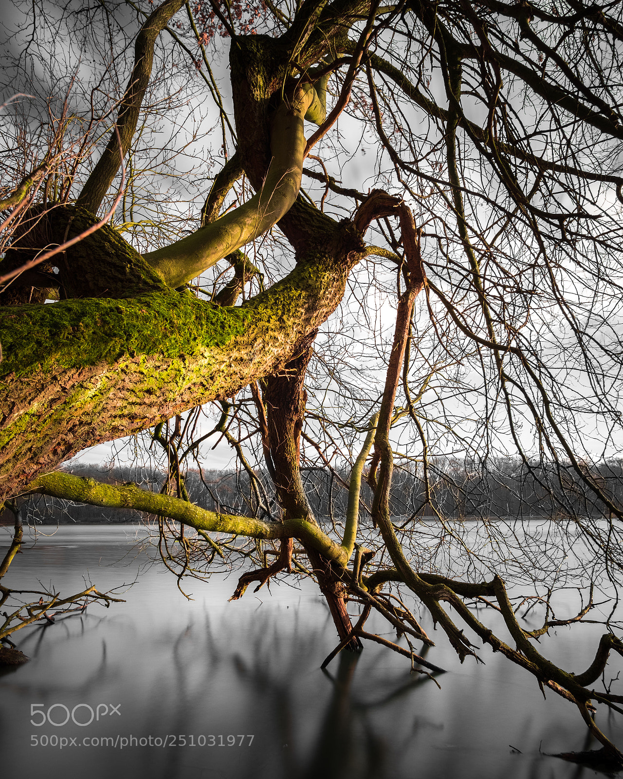 Fujifilm X-T20 sample photo. Silent lake photography