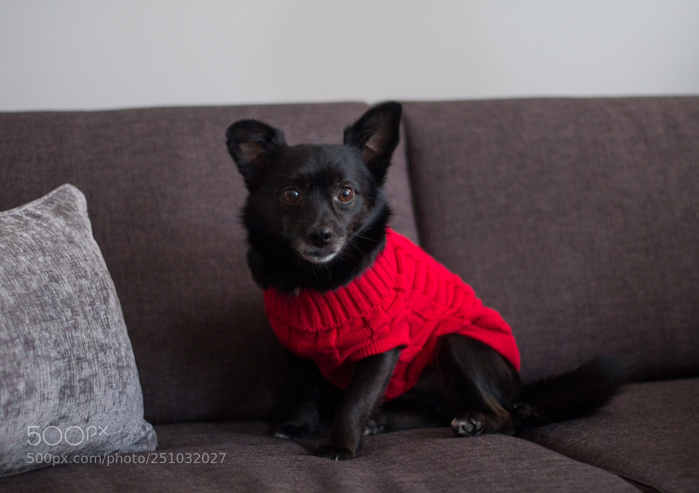 Canon EOS 60D sample photo. Mooshoo photography