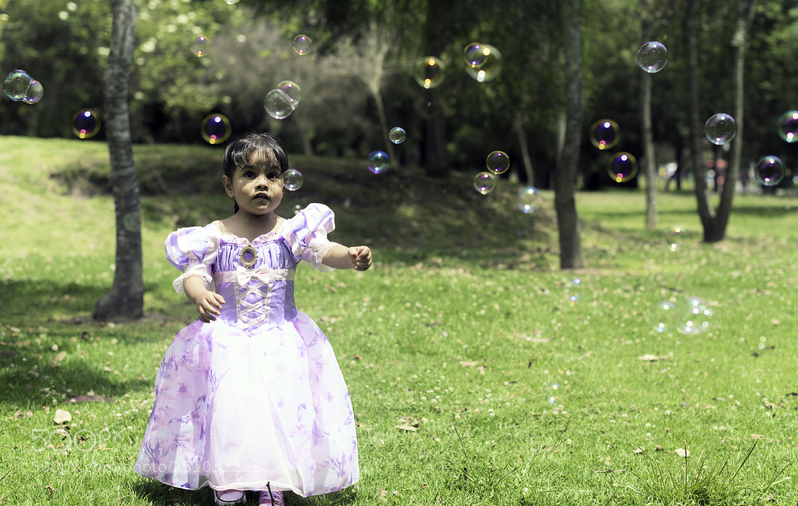 Nikon D810 sample photo. Bubble i photography