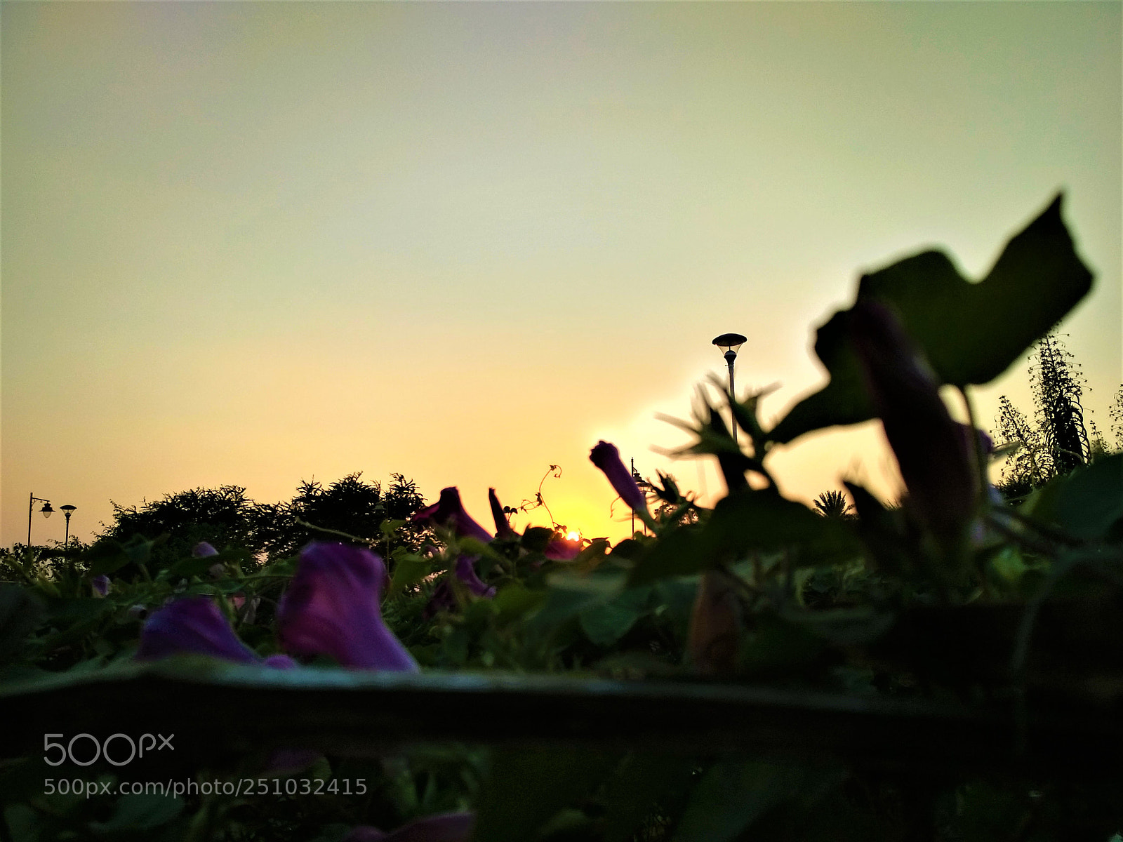 Xiaomi Redmi 4 Pro sample photo. Sunset photography