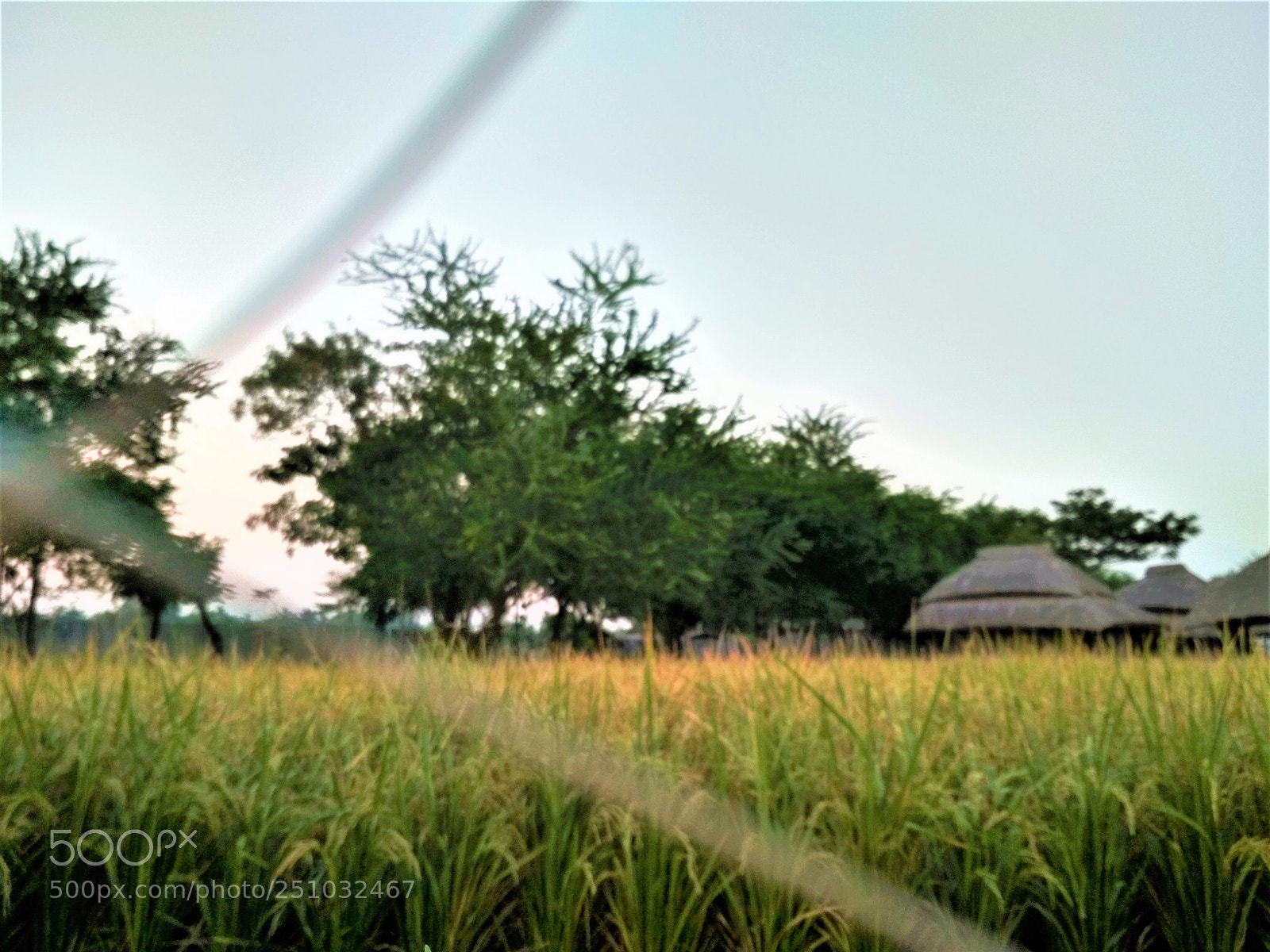 Xiaomi Redmi 4 Pro sample photo. Before sunset photography