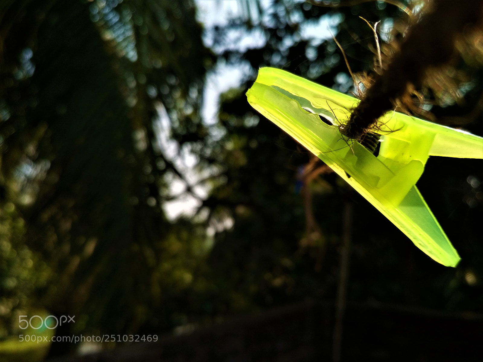 Xiaomi Redmi 4 Pro sample photo. Story of clip photography
