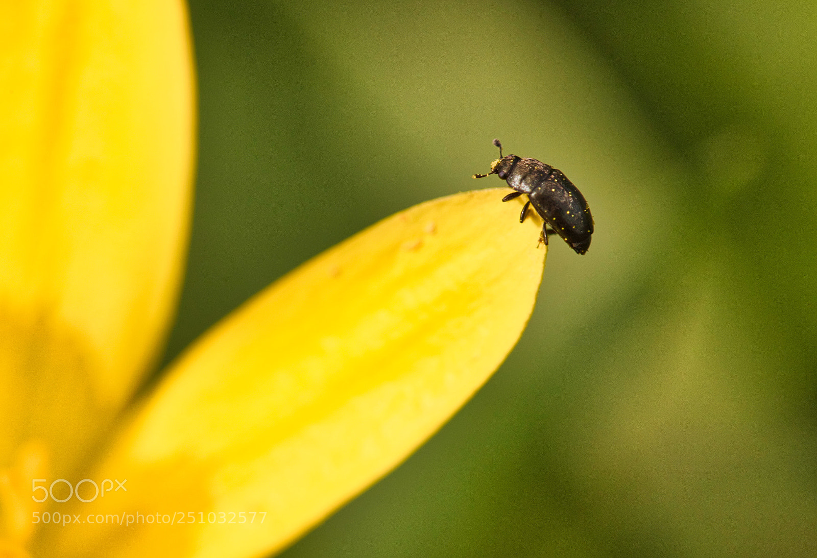Canon EOS 760D (EOS Rebel T6s / EOS 8000D) sample photo. Climber photography