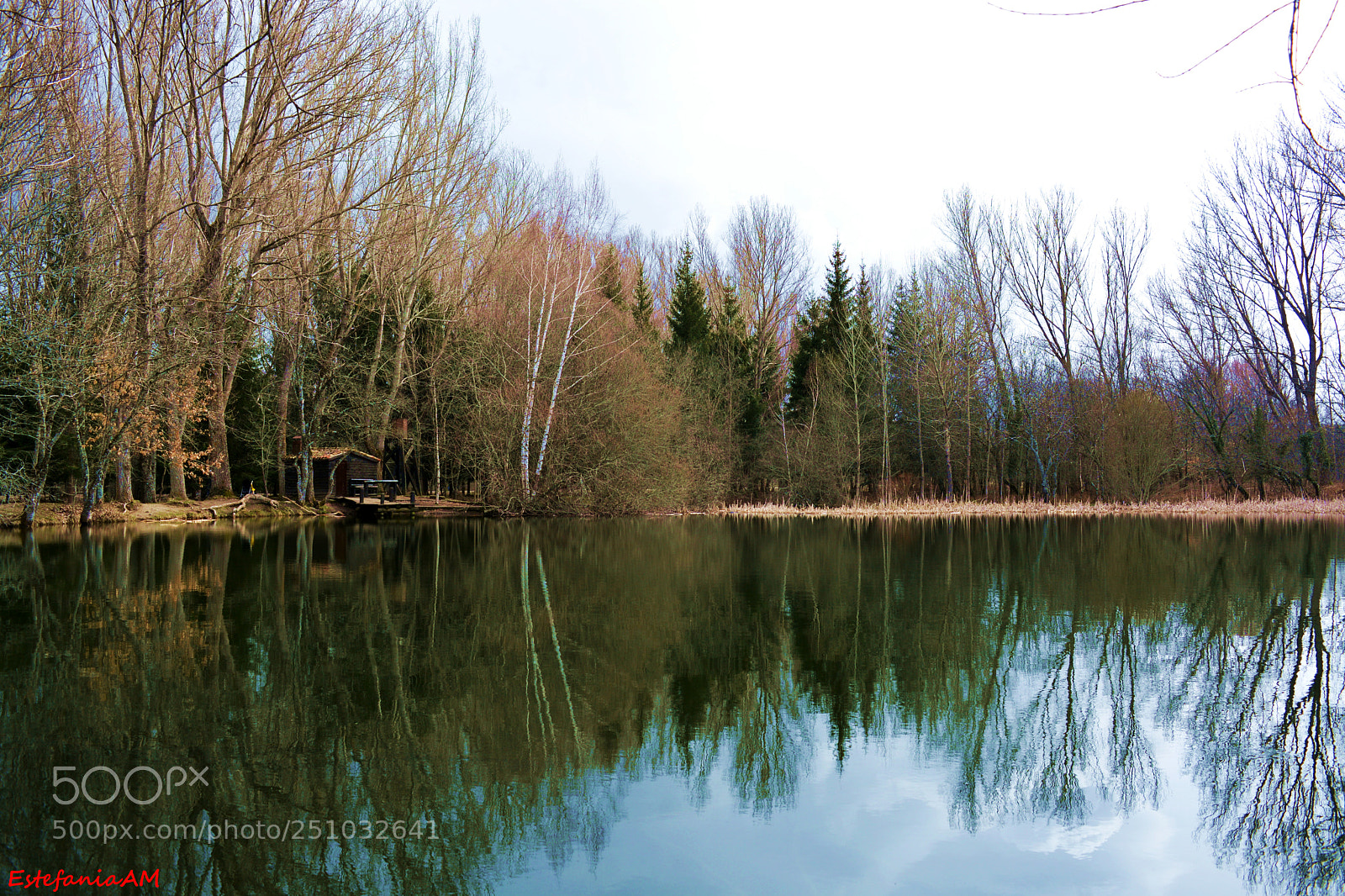Nikon D5200 sample photo. Untitled photography