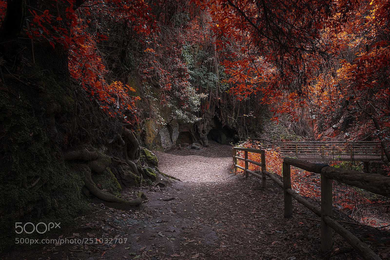 Nikon D800 sample photo. A corner to dream photography