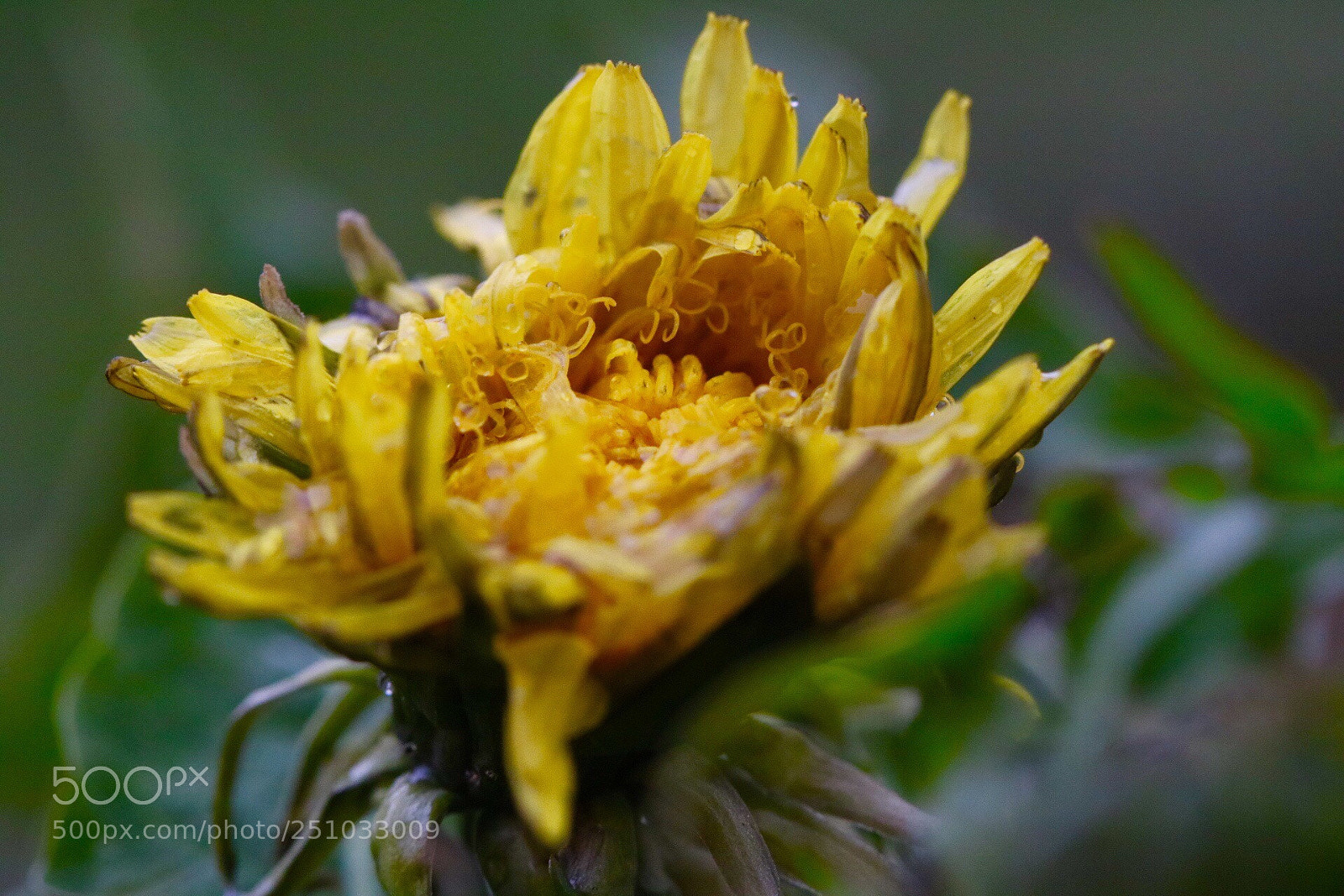 Canon EOS 750D (EOS Rebel T6i / EOS Kiss X8i) sample photo. Untitled photography