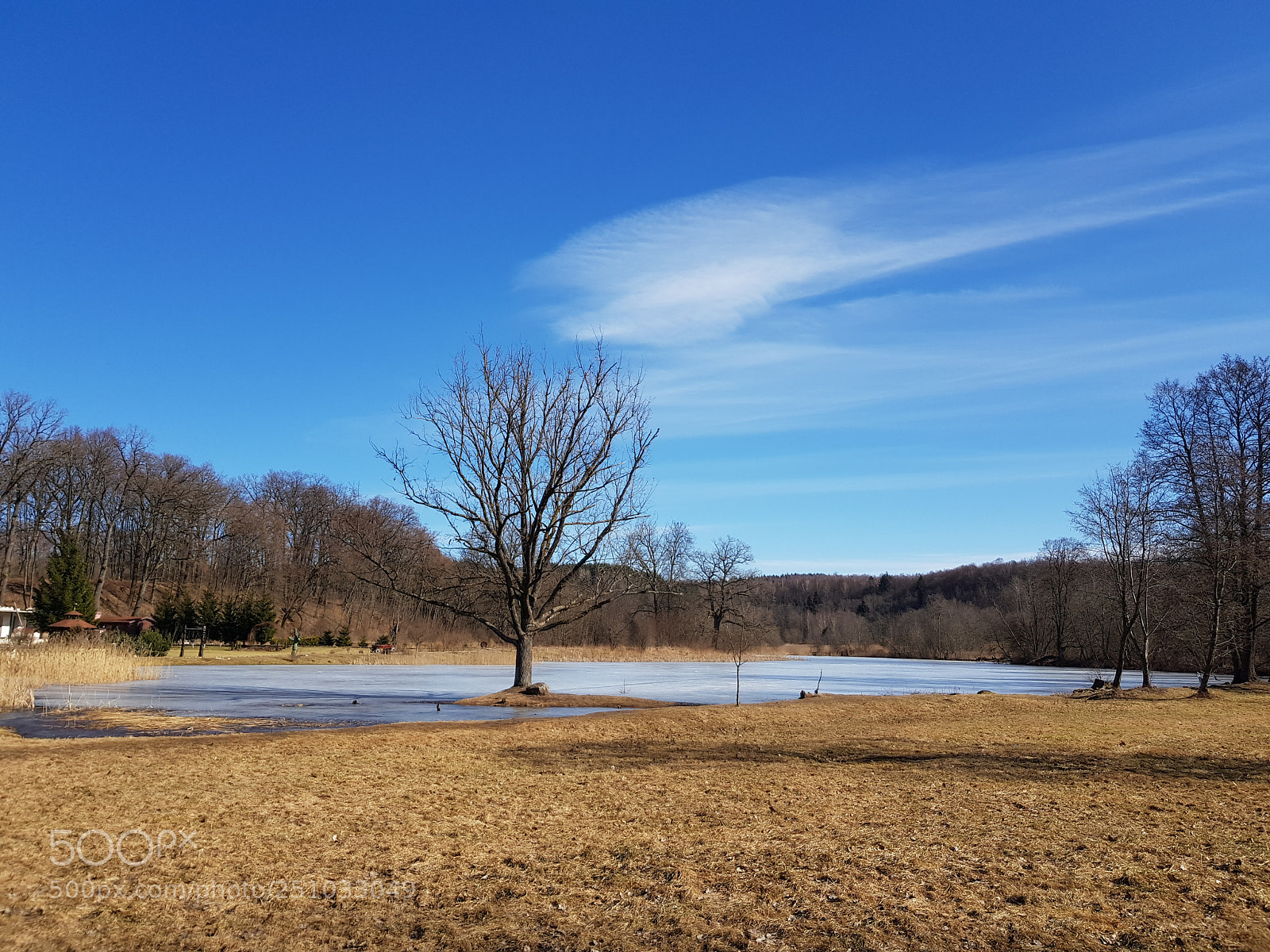 Samsung Galaxy S8+ sample photo. Untitled photography