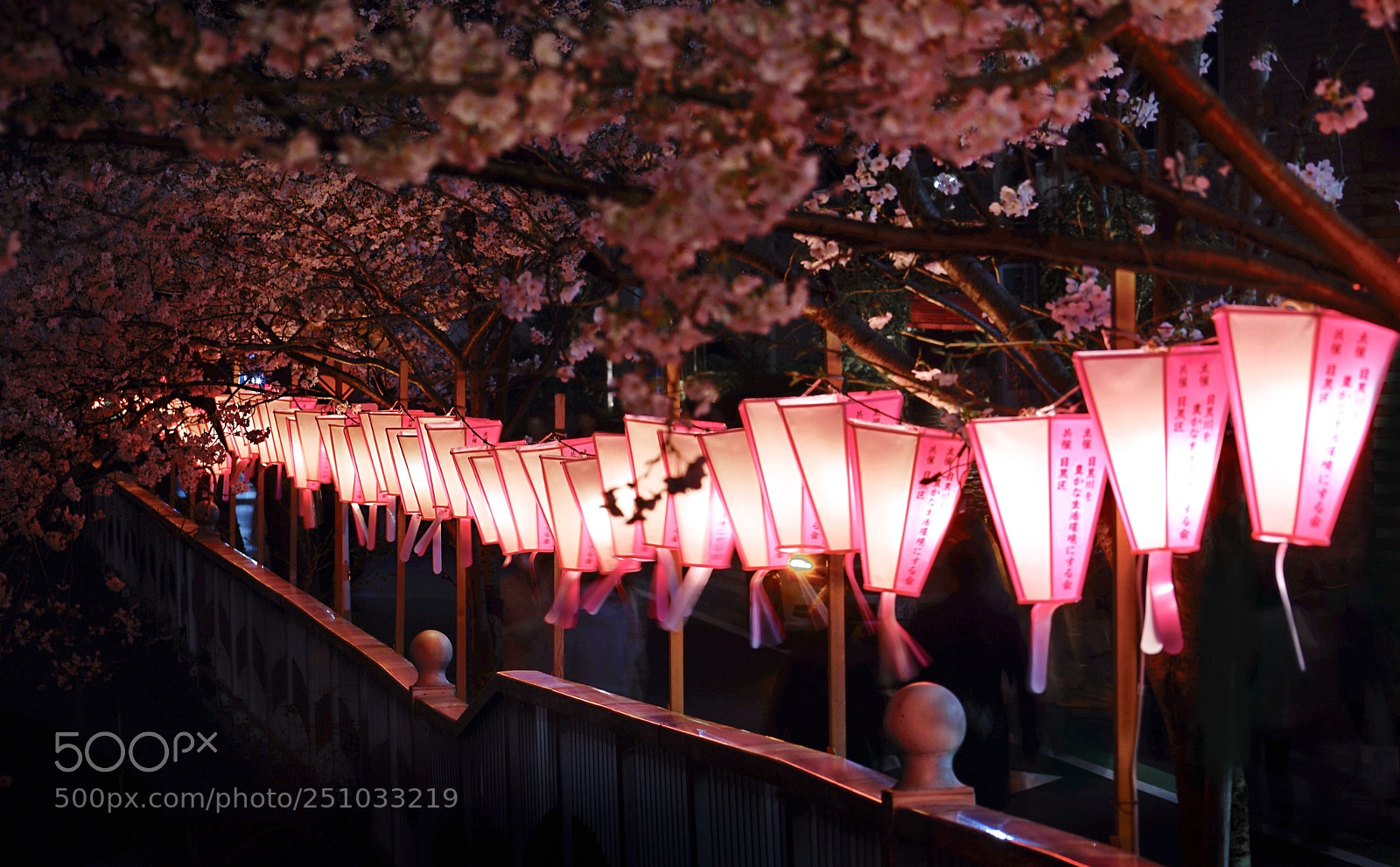 Sony a7R II sample photo. Sakura photography