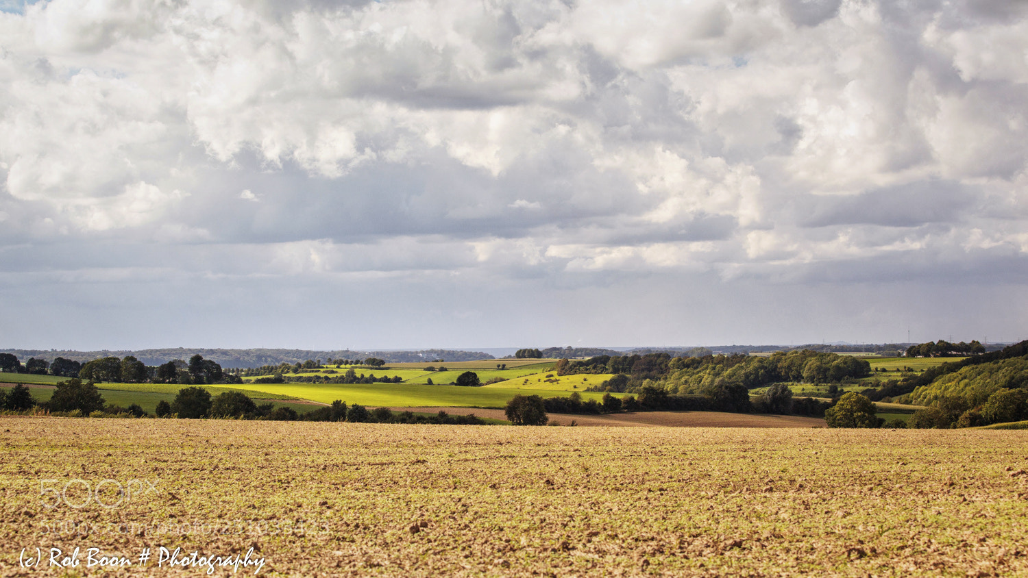 Canon EOS 5D Mark II sample photo. Ransdalerveld photography