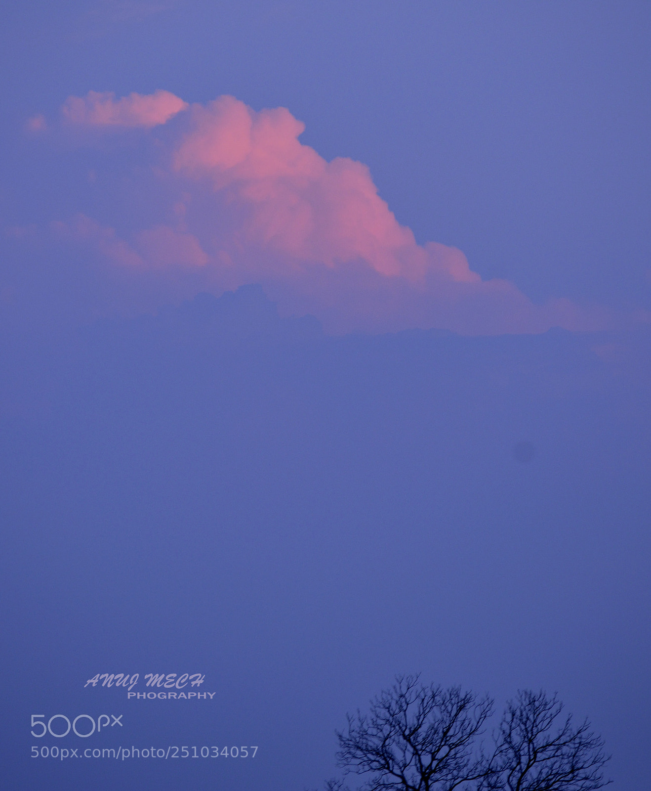 Nikon D3200 sample photo. Untitled photography