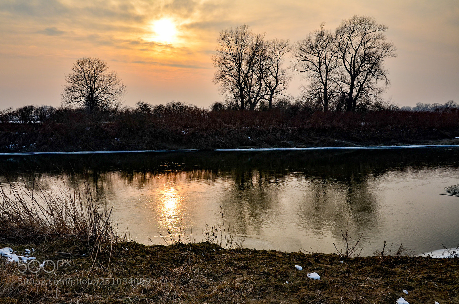 Nikon D5100 sample photo. 307 photography