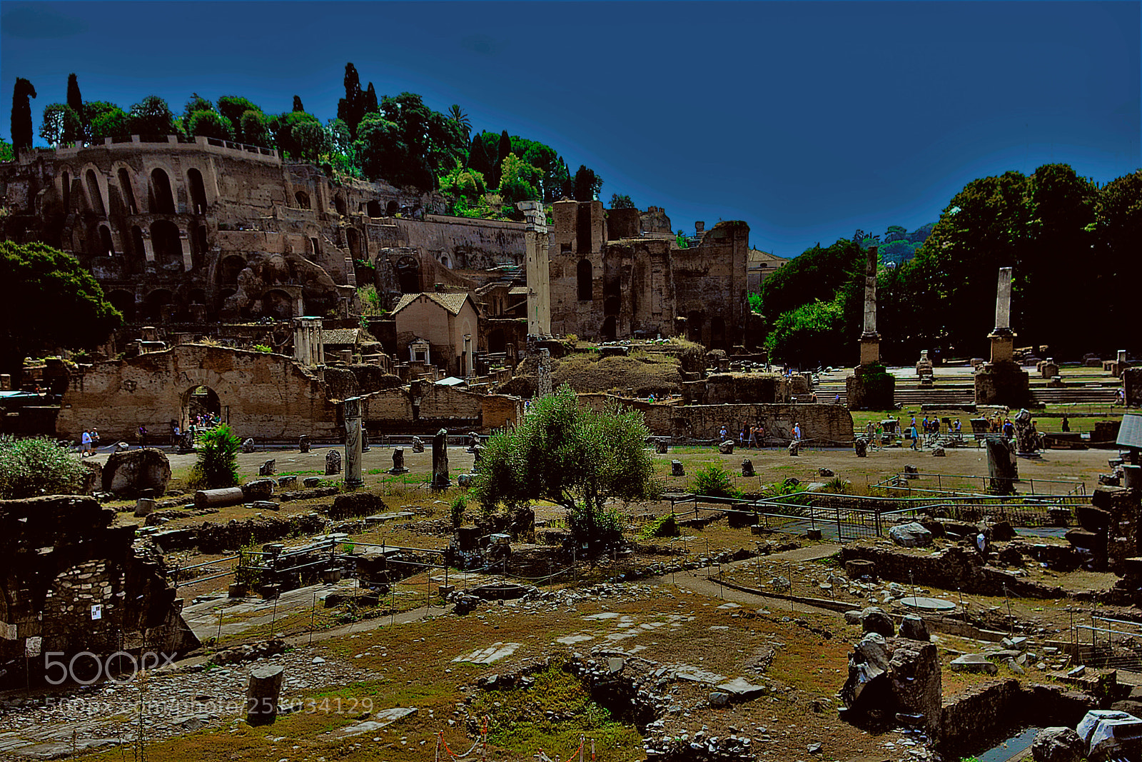 Sony Cyber-shot DSC-RX100 sample photo. Roma antica photography