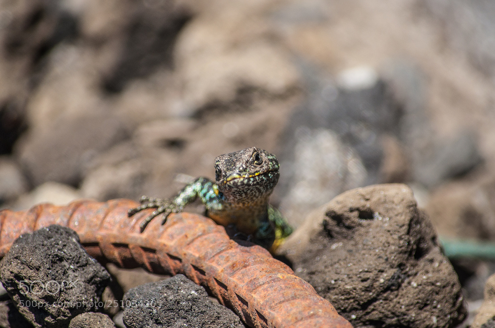 Nikon D90 sample photo. What´s up? photography