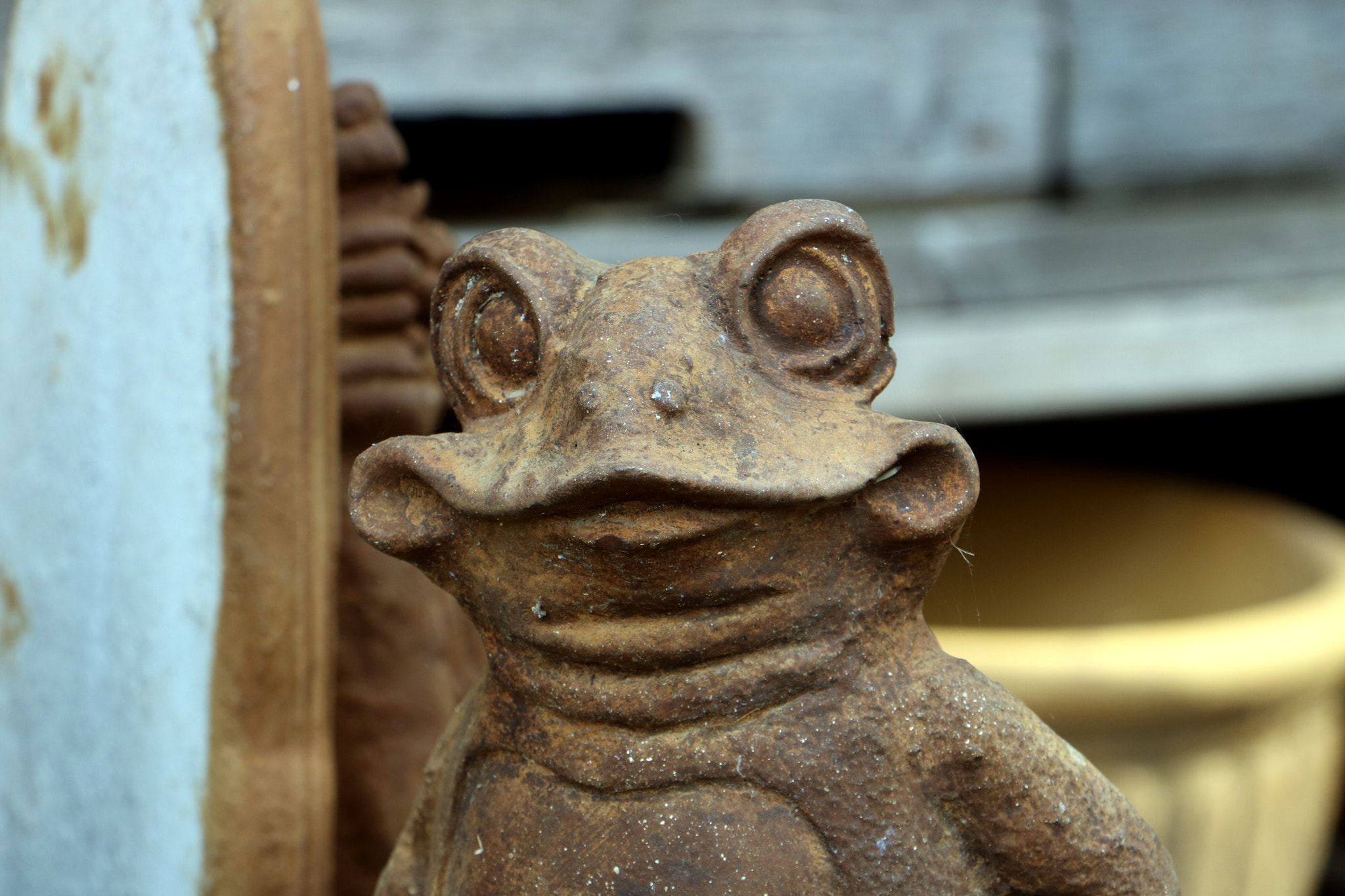Canon EOS 760D (EOS Rebel T6s / EOS 8000D) + Canon EF-S 18-135mm F3.5-5.6 IS STM sample photo. Goofy frog statue photography