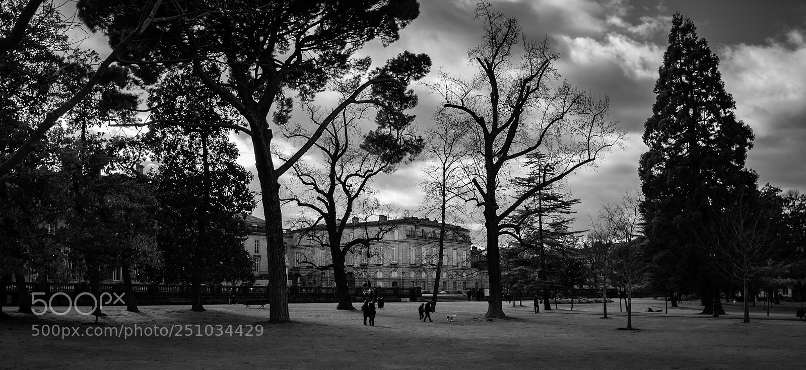 Panasonic Lumix DMC-GH4 sample photo. Black & white parc photography