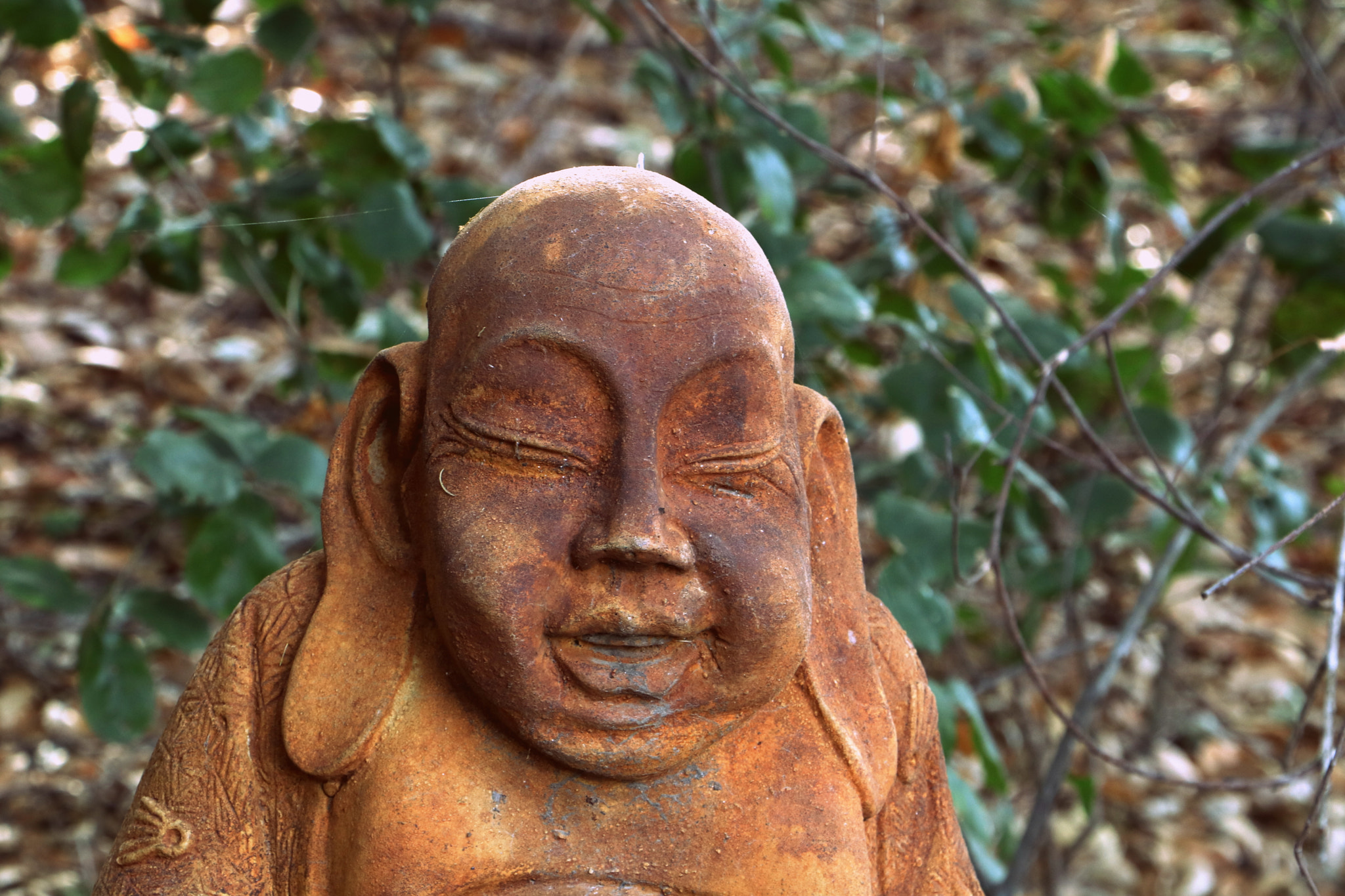 Canon EOS 760D (EOS Rebel T6s / EOS 8000D) sample photo. Buddha photography