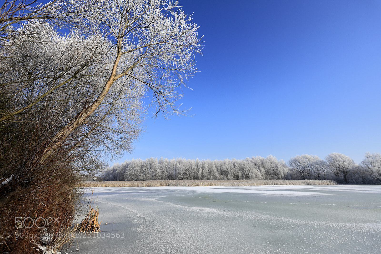Canon EOS 5D Mark II sample photo. Frozen lakes at ferry photography