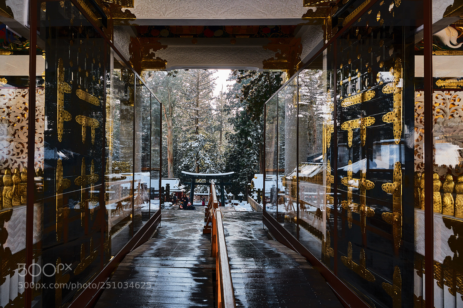 Nikon D850 sample photo. Gate photography