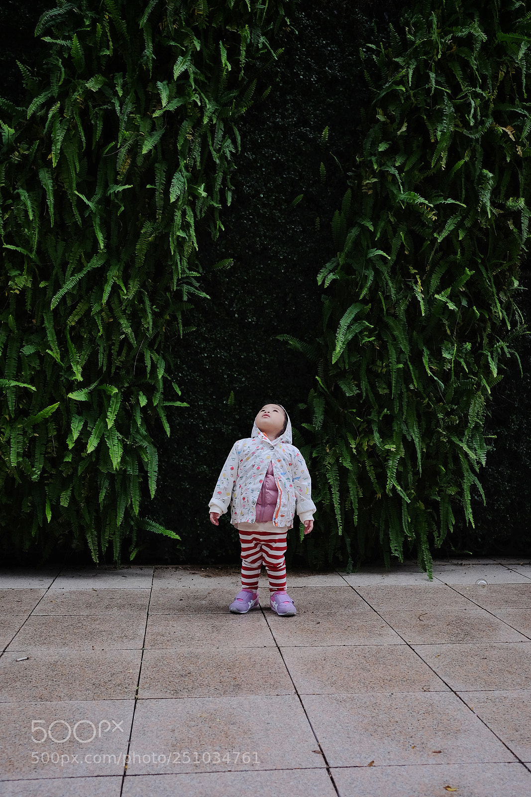 Fujifilm X-T1 sample photo. Angle photography