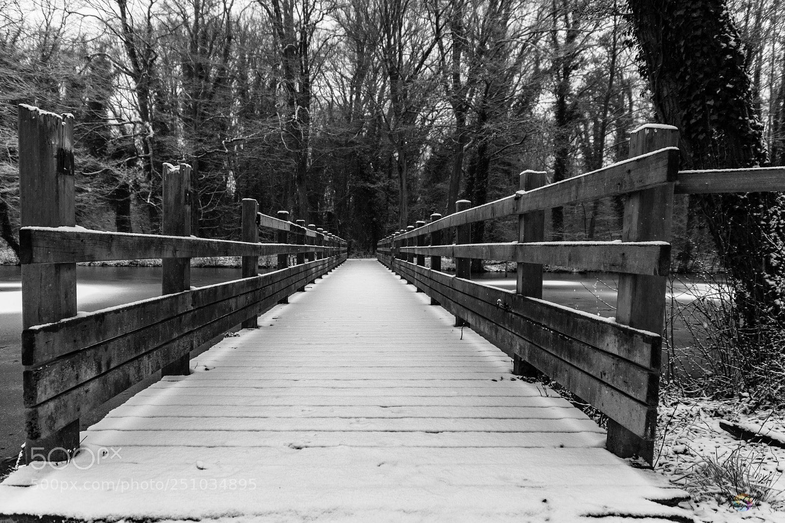 Nikon D7100 sample photo. Snowy bridge photography